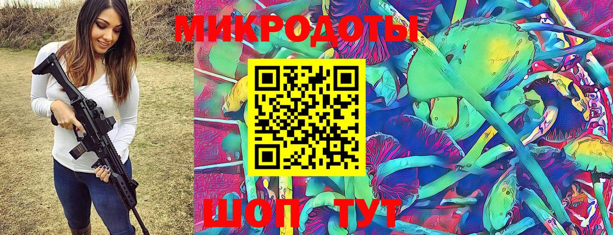 Псилоцибиновые грибы Psilocybe  Псилоцибиновые грибы прущие грибы  Вход с VPN  Майский 